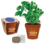 Green & Grow Kit